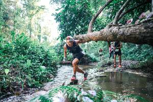 BIB: 
                            <button type="button" onclick="openModal(25434761)" class="btn btn-primary btn-sm float-right btn-popup" data-toggle="modal" data-target=".modal-high-quality">
                        <i class="fas fa-shopping-cart"></i> Add to Cart
                    </button>
                                            <button type="button" onclick="isThisMe(25434761, true)" class="btn btn-success btn-sm float-right btn-popup btn-isme hidden" data-toggle="tooltip" data-placement="bottom" title="นี่คือรูปของคุณใช่ไหม คลิกที่นี่เพื่อเอาเข้าอัลบั้ม">
                        <i class="fas fa-plus"></i> Add to album
                    </button>
                    <button type="button" onclick="isThisMe(25434761, false)" class="btn btn-warning btn-sm float-right btn-popup btn-isnotme hidden">
                        <i class="fas fa-ban"></i> Remove from album
                    </button>